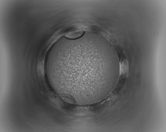 X0000115280291200911061334
