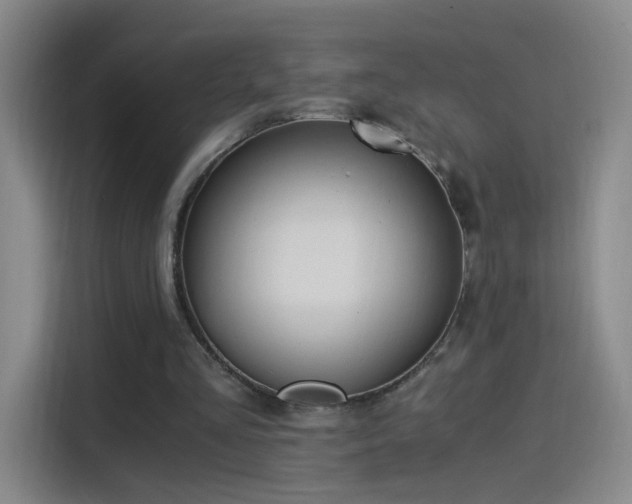 X0000115280293200911061333