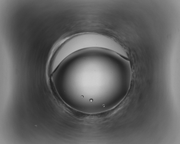 X0000115280294200911061333