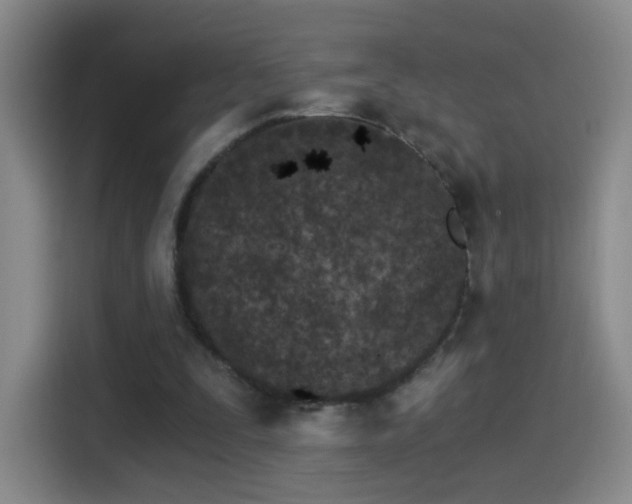 X0000115280295200911061333