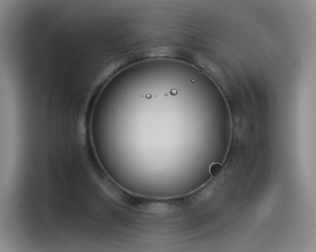 X0000115280298200911061333
