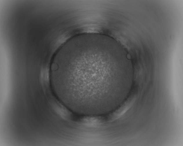 X0000115280299200911061333