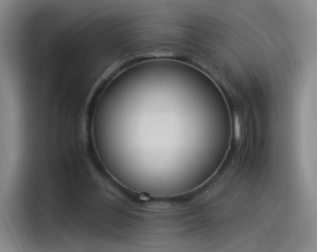 X0000115280300200911061333