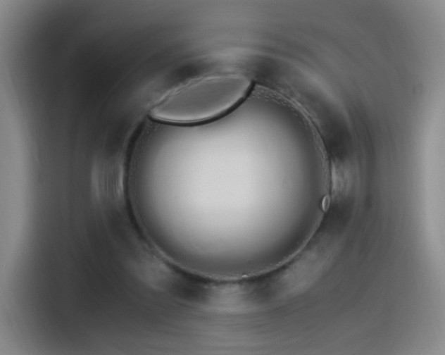 X0000115280301200911061333