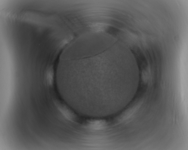 X0000115280304200911061333
