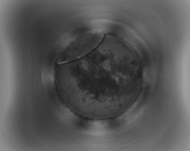 X0000115280305200911061333