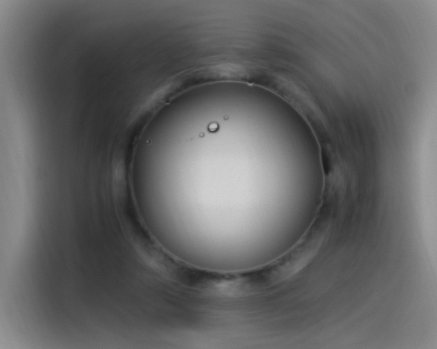 X0000115280306200911061333