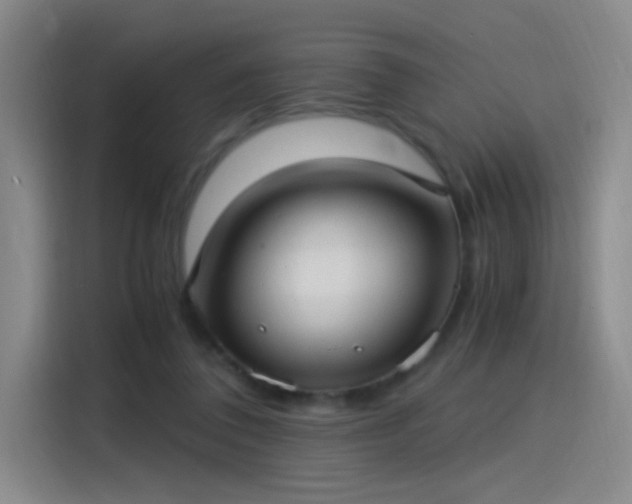 X0000115280308200911061333