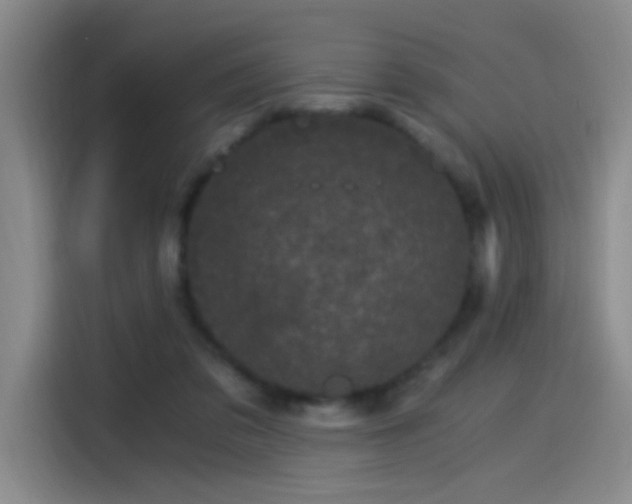 X0000115280309200911061333