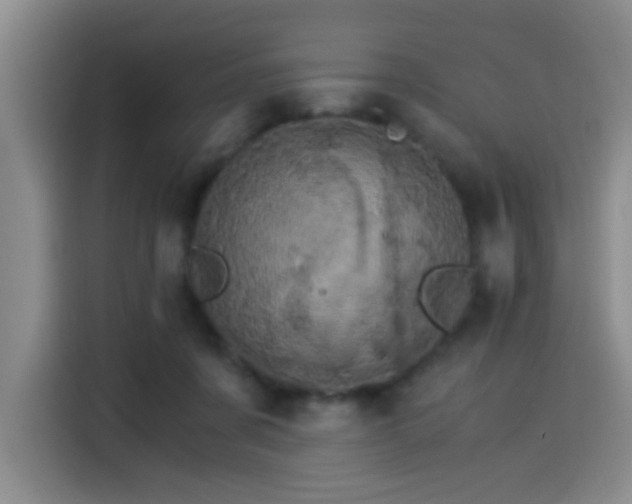 X0000115280311200911061333