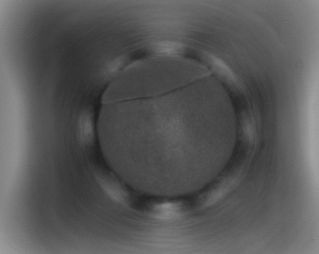 X0000115280312200911061333