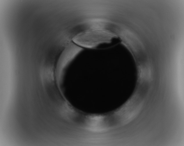 X0000115280313200911061333