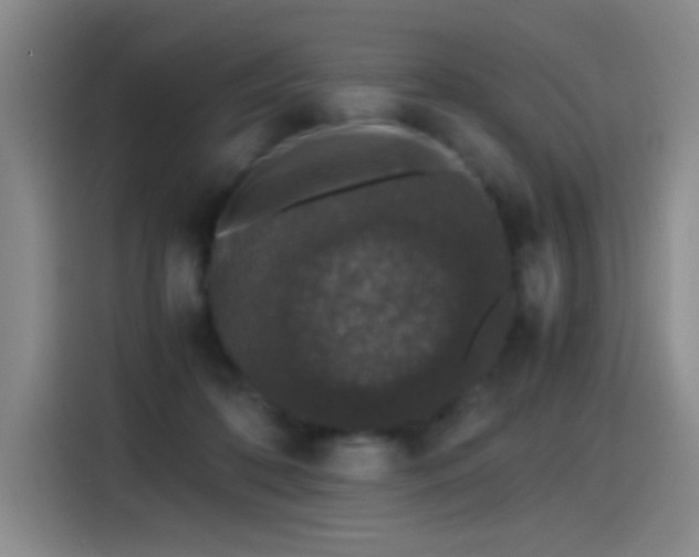 X0000115280316200911061333