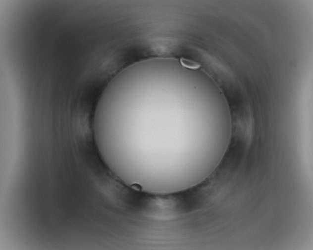 X0000115280317200911061333