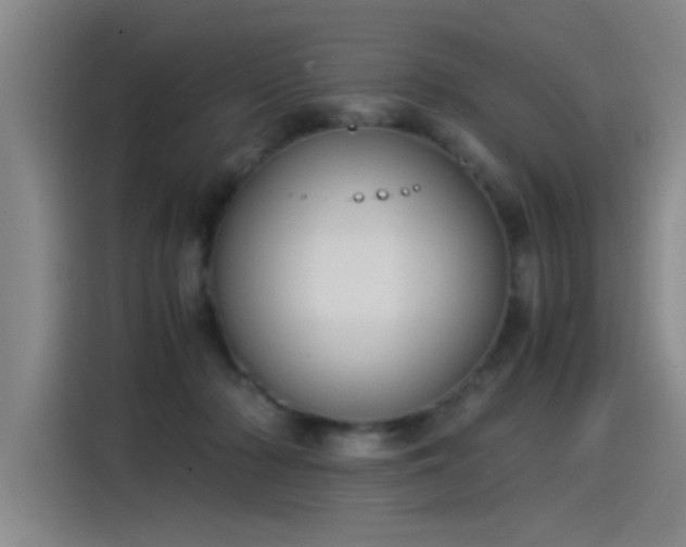 X0000115280318200911061333