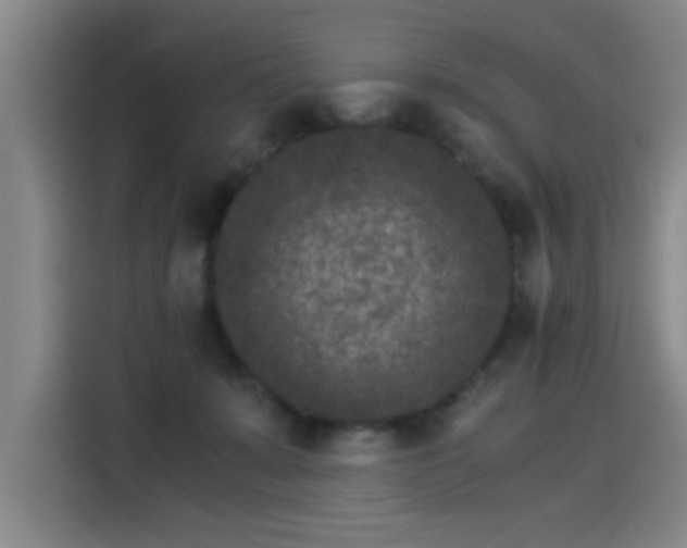 X0000115280319200911061333