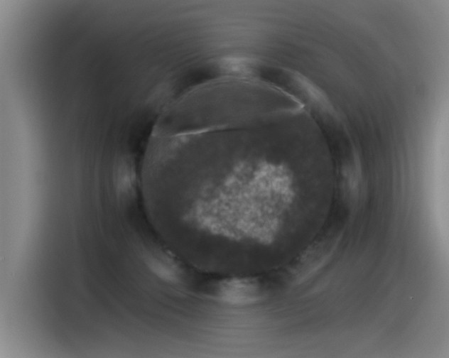 X0000115280320200911061333