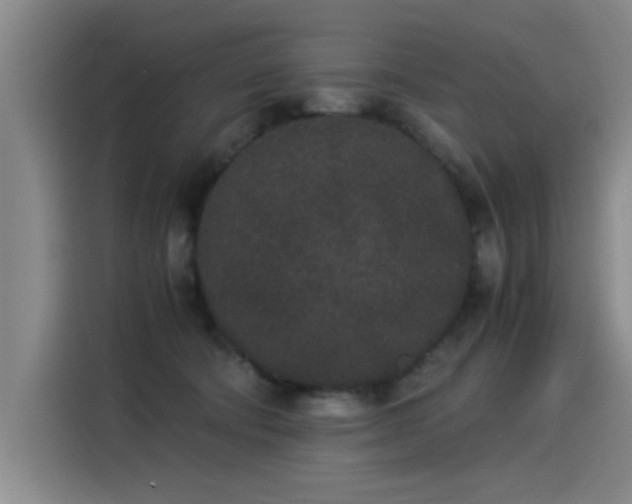 X0000115280322200911061333