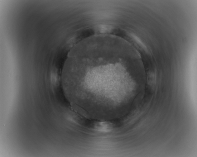X0000115280324200911061333