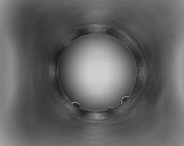 X0000115280326200911061333