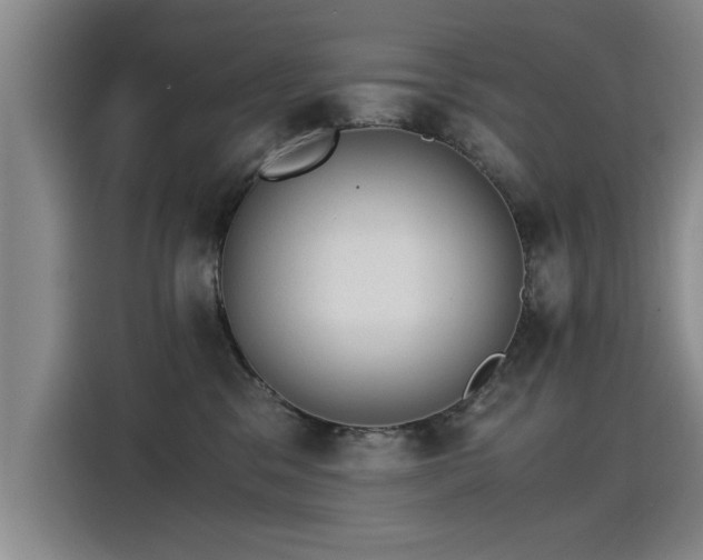 X0000115280329200911061333