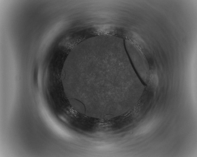 X0000115280335200911061333