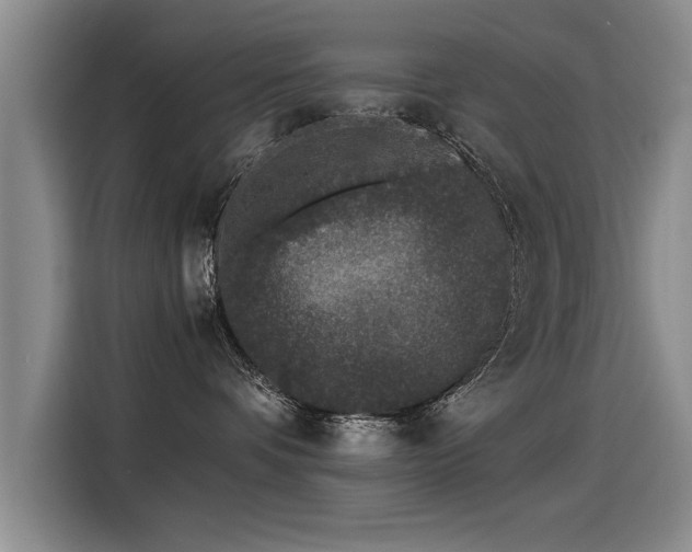 X0000115280336200911061333