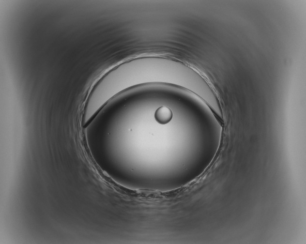X0000115280337200911061332