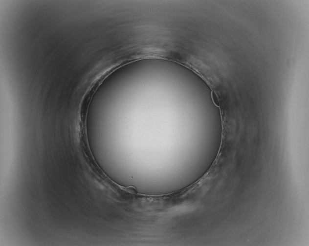 X0000115280338200911061332