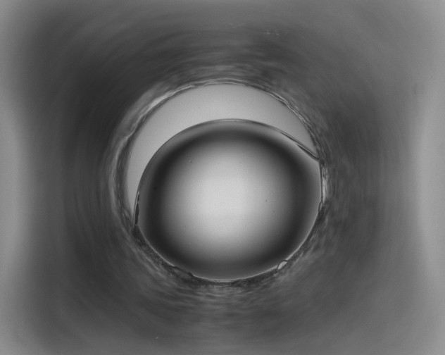X0000115280339200911061332
