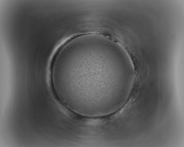 X0000115280342200911061332