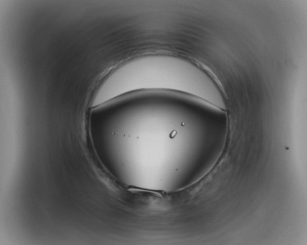 X0000115280345200911061332