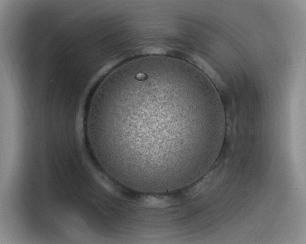 X0000115280346200911061332