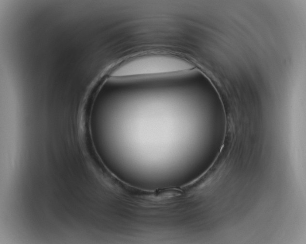 X0000115280347200911061332