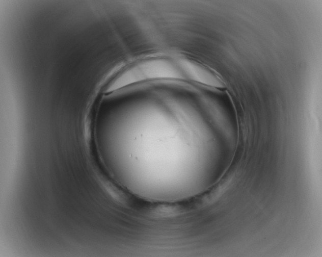 X0000115280350200911061332