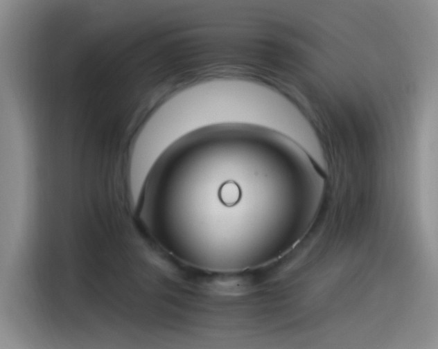 X0000115280357200911061333