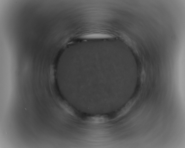 X0000115280366200911061333