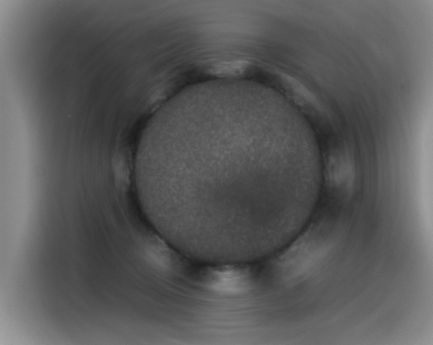 X0000115280370200911061333