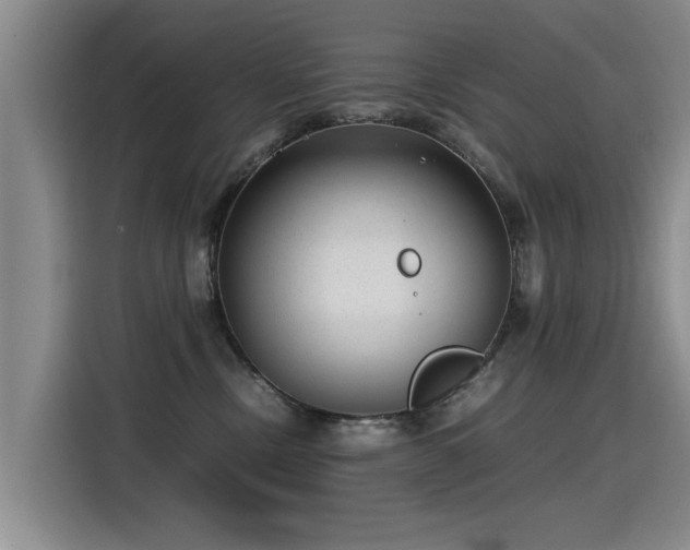 X0000115280378200911061333