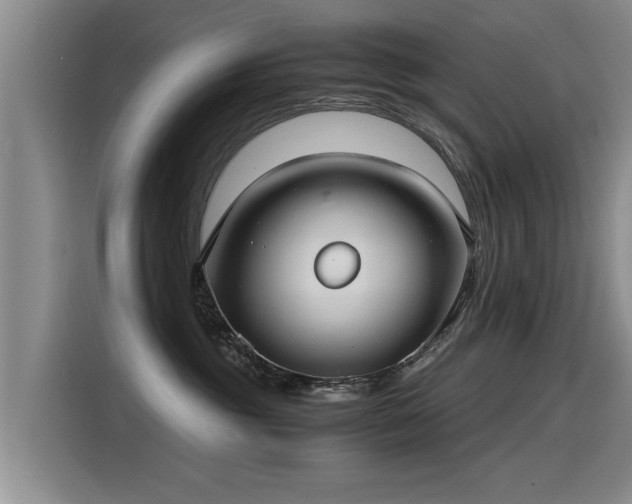 X0000115280381200911061333