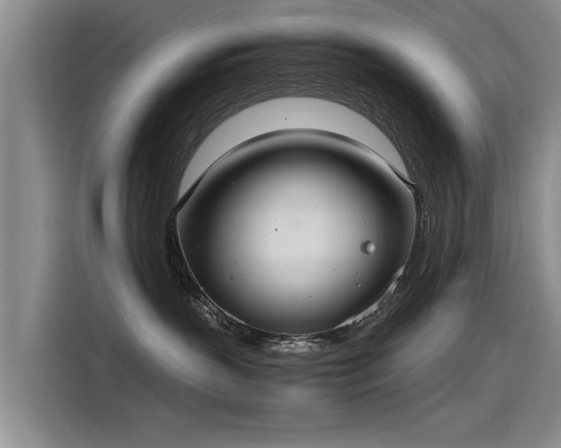 X0000115280383200911061333