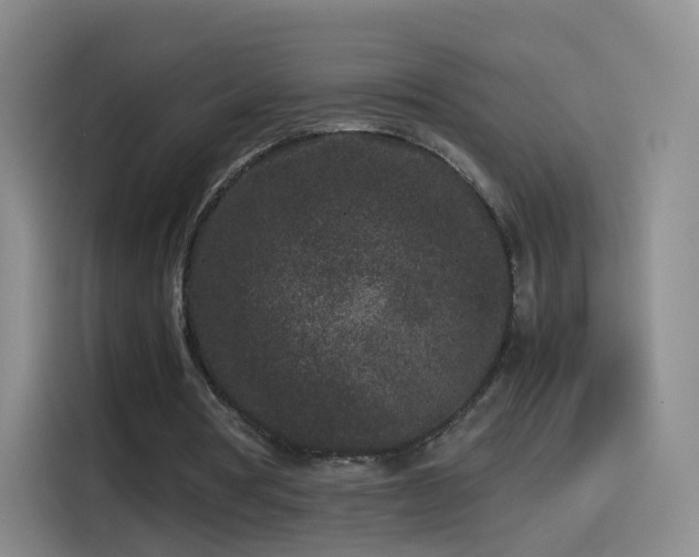 X0000115280386200911061332