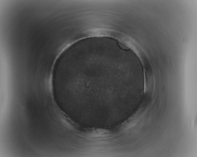 X0000115280387200911061332