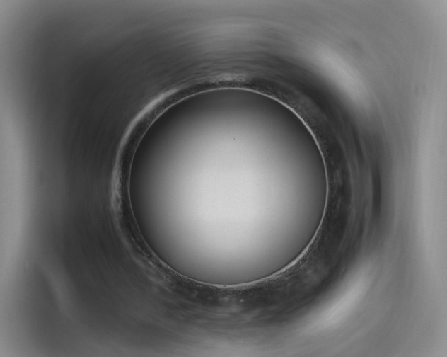 X0000115280388200911061332