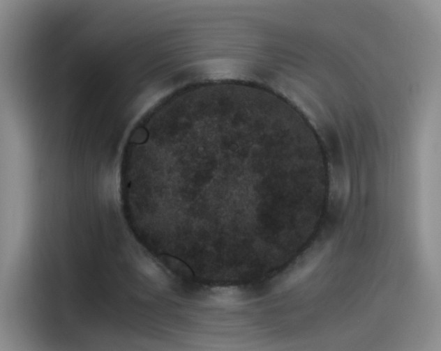 X0000115280391200911061332