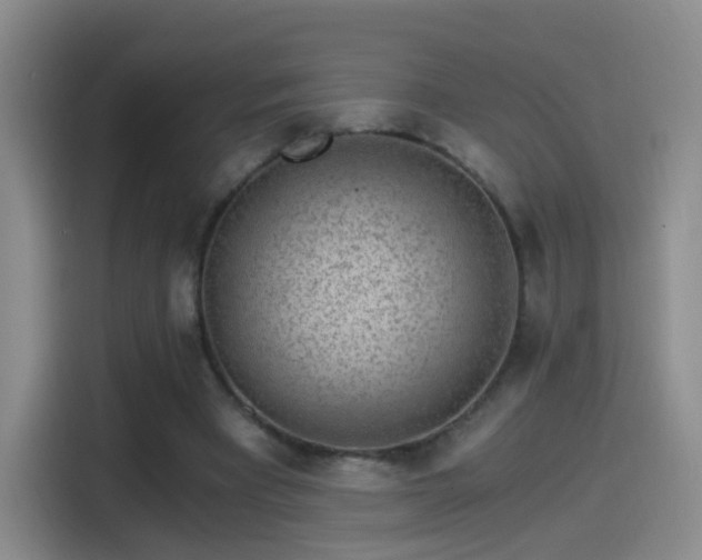 X0000115280393200911061332