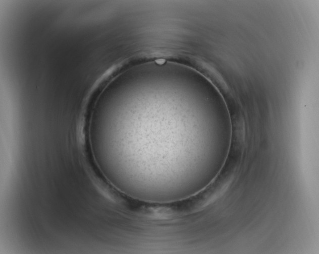X0000115280395200911061332