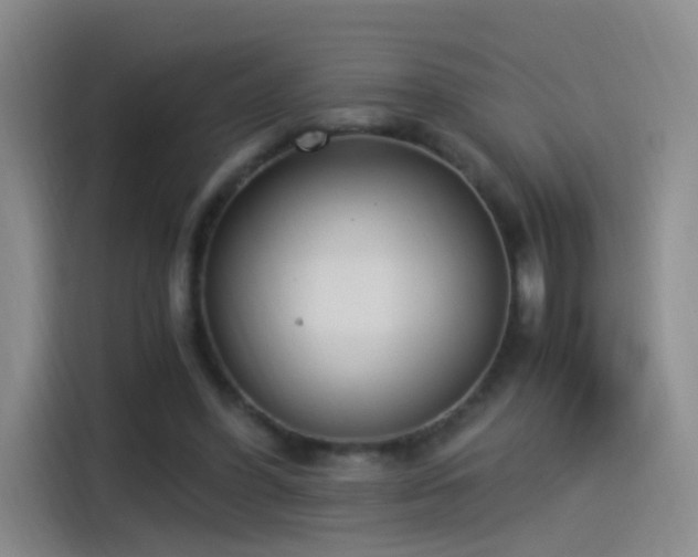 X0000115280396200911061332