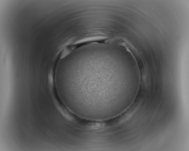 X0000115280398200911061332