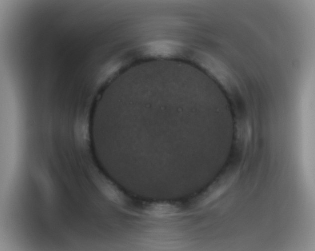 X0000115280399200911061332